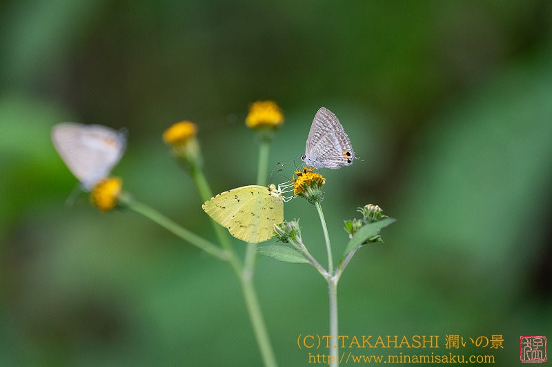 ../Images/7R241006 (81).jpg